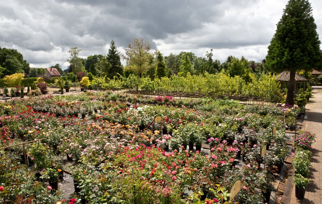 Beispiele für Gartenanlagen GILLERKE